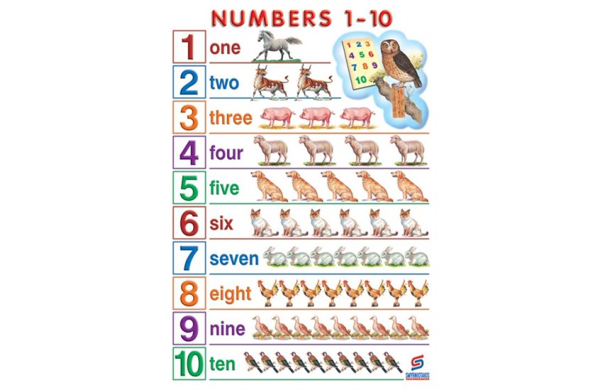 NUMBERS 1-10 (ΑΦΙΣΑ)
