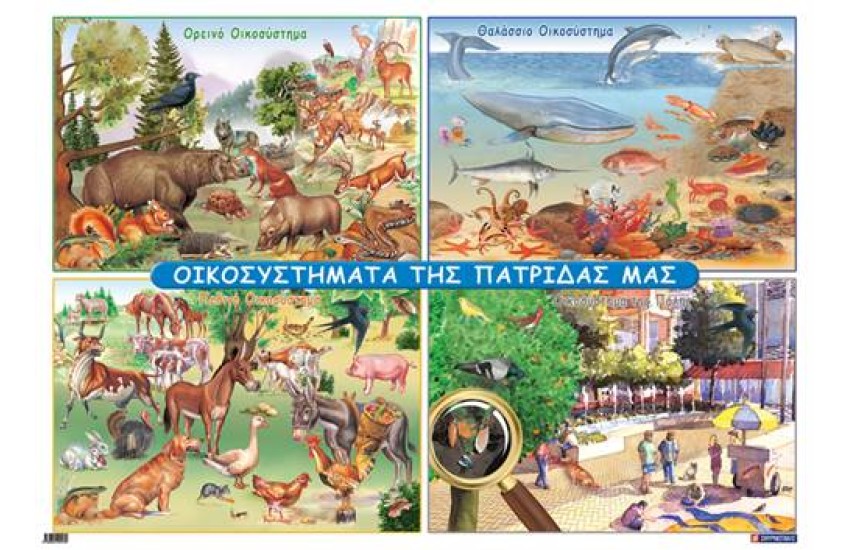 ΟΙΚΟΣΥΣΤΗΜΑΤΑ ΤΗΣ ΠΑΤΡΙΔΑΣ ΜΑΣ (ΑΦΙΣΑ)
