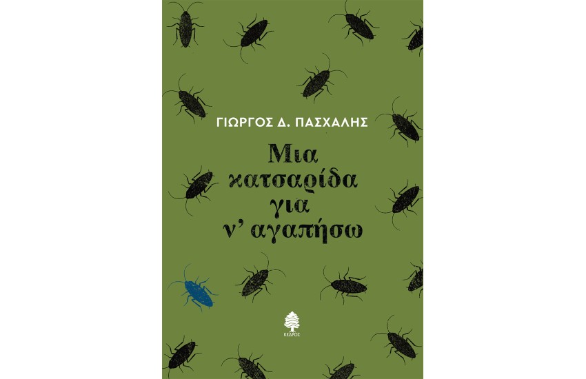 ΜΙΑ ΚΑΤΣΑΡΙΔΑ ΓΙΑ Ν’ ΑΓΑΠΗΣΩ