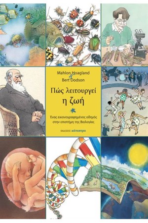 ΠΩΣ ΛΕΙΤΟΥΡΓΕΙ Η ΖΩΗ