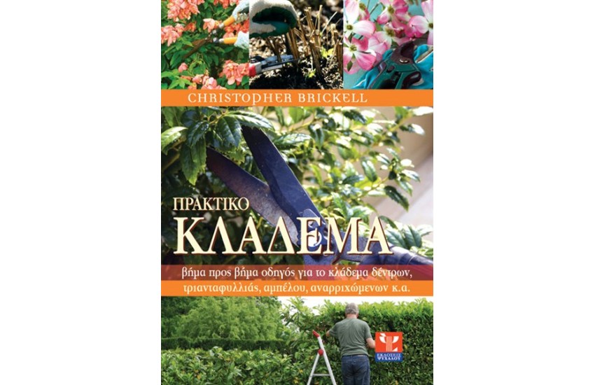 ΠΡΑΚΤΙΚΟ ΚΛΑΔΕΜΑ