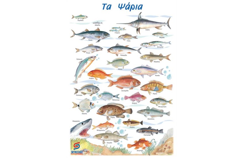 ΤΑ ΨΑΡΙΑ  (ΑΦΙΣΑ)