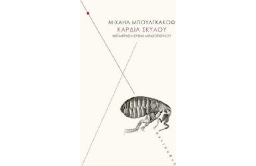 ΚΑΡΔΙΑ ΣΚΥΛΟΥ