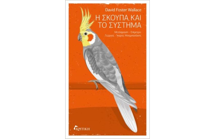 Η ΣΚΟΥΠΑ ΚΑΙ ΤΟ ΣΥΣΤΗΜΑ