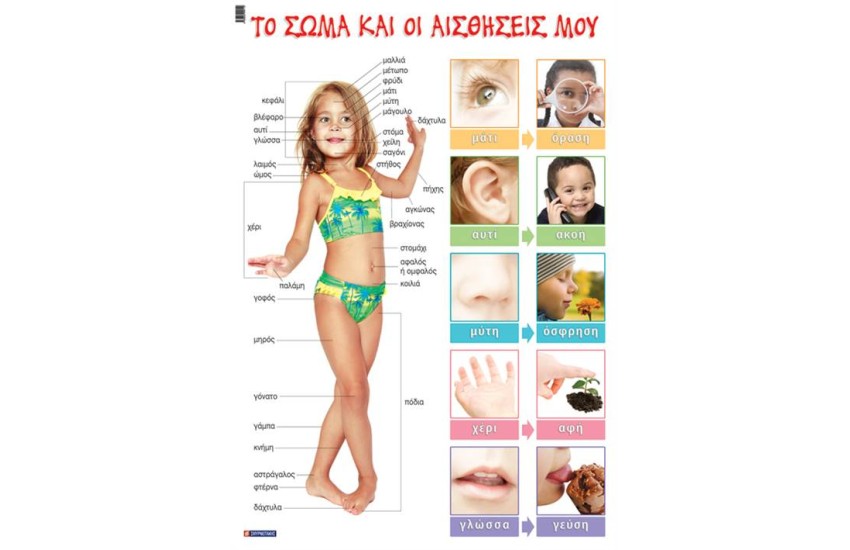 ΤΟ ΣΩΜΑ ΚΑΙ ΟΙ ΑΙΣΘΗΣΕΙΣ ΜΟΥ (ΑΦΙΣΑ)