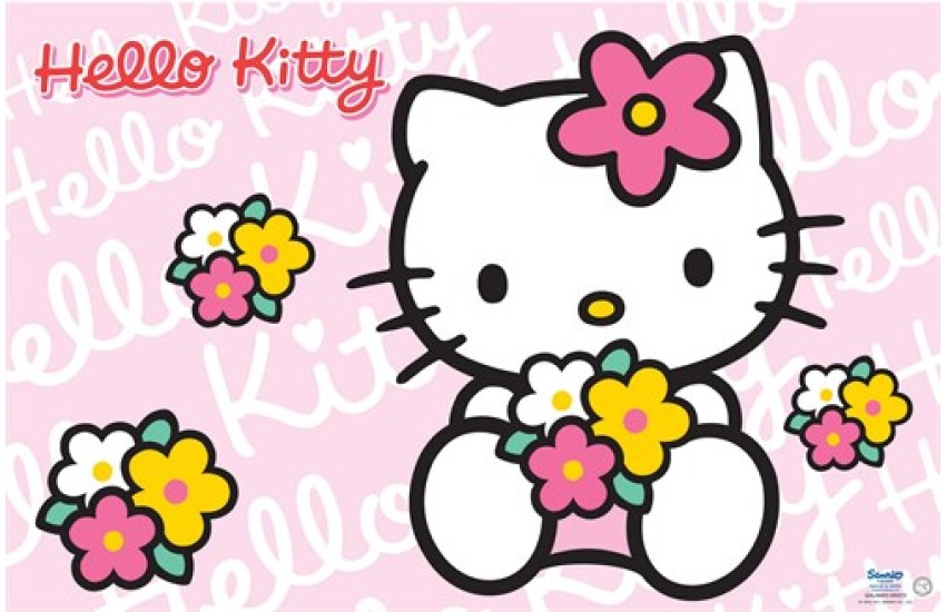 ΣΟΥΠΛΑ ΠΛΑΣΤΙΚΟ HELLO KITTY