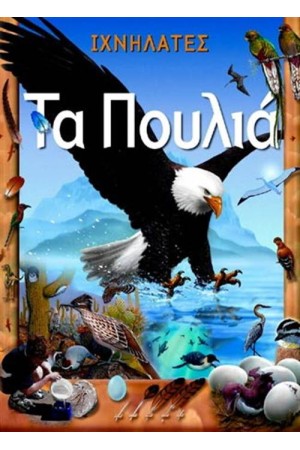 ΖΟΥΜ ΣΤΗ ΓΝΩΣΗ: ΤΑ ΠΟΥΛΙΑ ΖΟΥΜ ΣΤΗ ΓΝΩΣΗ: ΤΑ ΠΟΥΛΙΑ