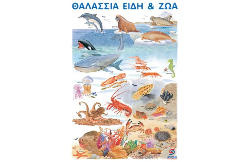 ΘΑΛΑΣΣΙΑ ΖΩΑ ΚΑΙ ΕΙΔΗ  (ΑΦΙΣΑ)