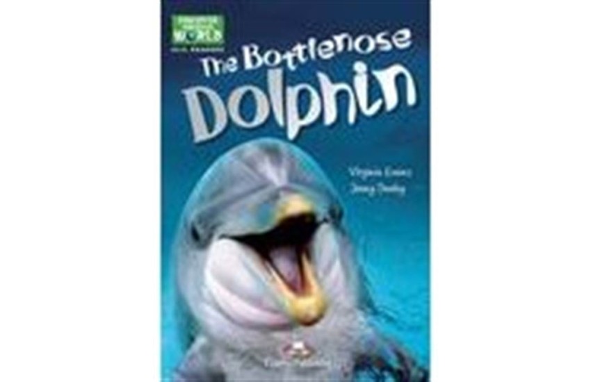 THE BOTTLENOSE  DOLPHIN