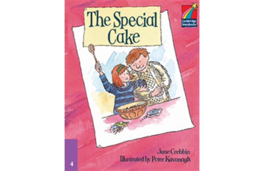 THE SPECIAL CAKE