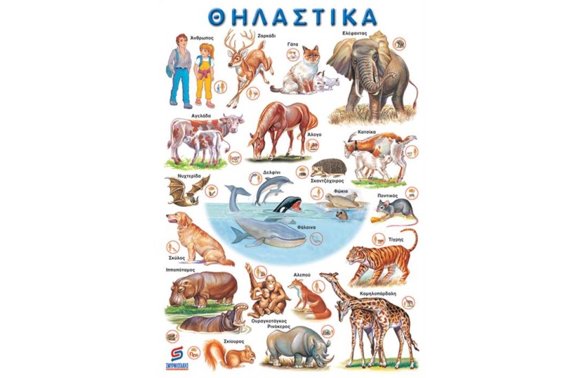ΘΗΛΑΣΤΙΚΑ (ΑΦΙΣΑ)