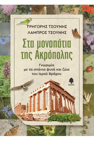 ΣΤΑ ΜΟΝΟΠΑΤΙΑ ΤΗΣ ΑΚΡΟΠΟΛΗΣ