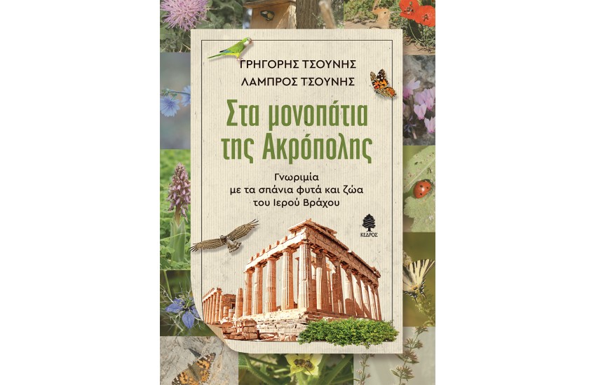 ΣΤΑ ΜΟΝΟΠΑΤΙΑ ΤΗΣ ΑΚΡΟΠΟΛΗΣ