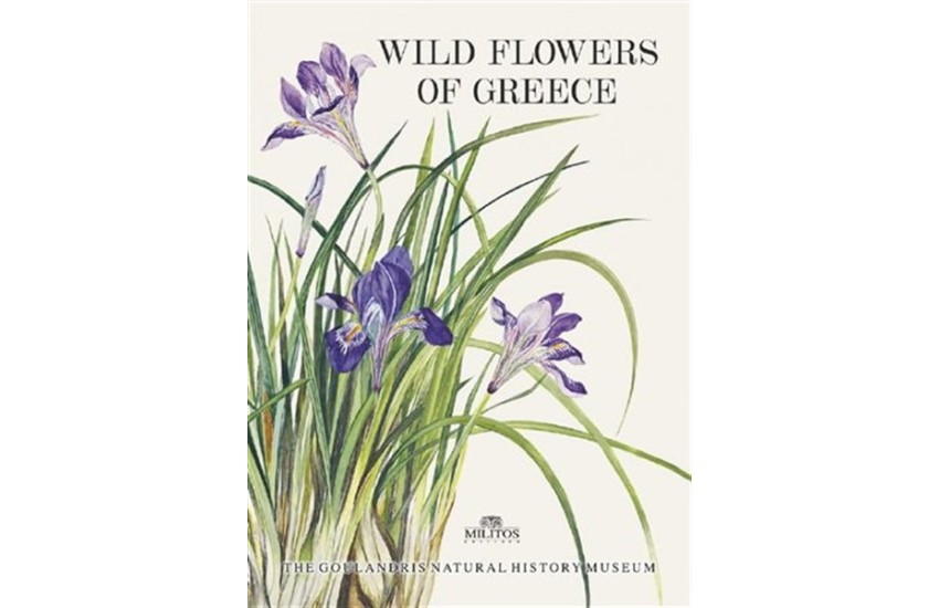WILD FLOWERS OF GREECE
