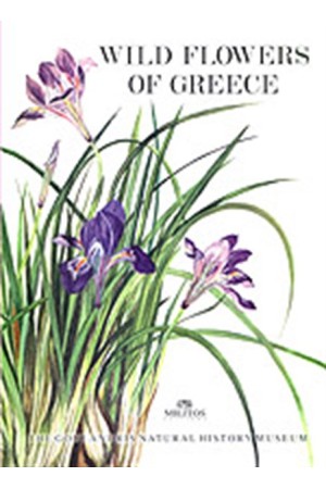 WILD FLOWERS OF GREECE WILD FLOWERS OF GREECE
