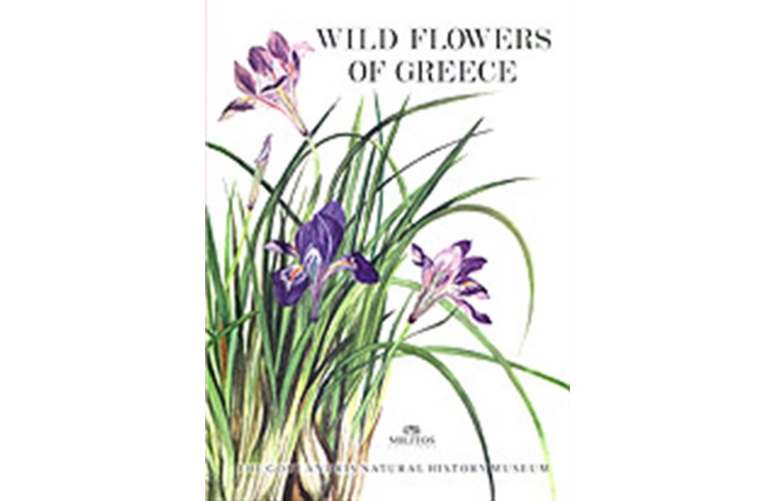 WILD FLOWERS OF GREECE