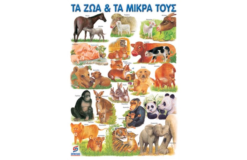 ΤΑ ΖΩΑ ΚΑΙ ΤΑ ΜΙΚΡΑ ΤΟΥΣ  (ΑΦΙΣΑ)