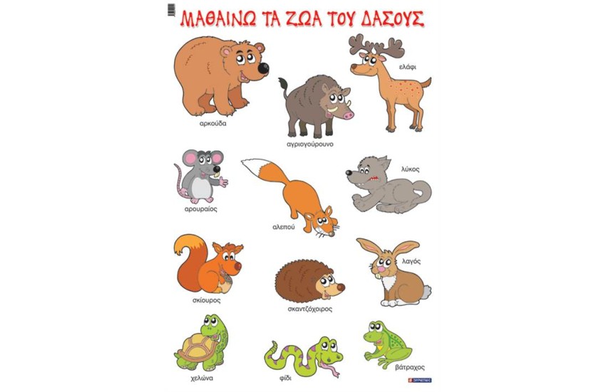 ΜΑΘΑΙΝΩ ΤΑ ΖΩΑ ΤΟΥ ΔΑΣΟΥΣ (ΑΦΙΣΑ)
